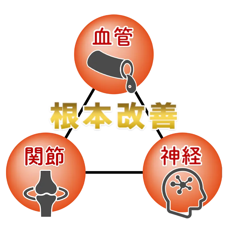 当院の根本改善整体、血管・関節・神経